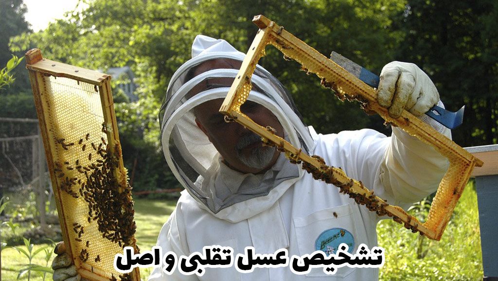 راه های تشخیص عسل اصل از عسل تقلبی