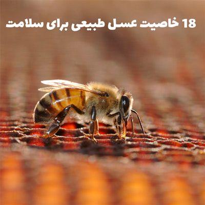 18 خاصیت عسل طبیعی برای سلامتی