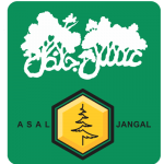 لوگوی 2 عسل جنگل