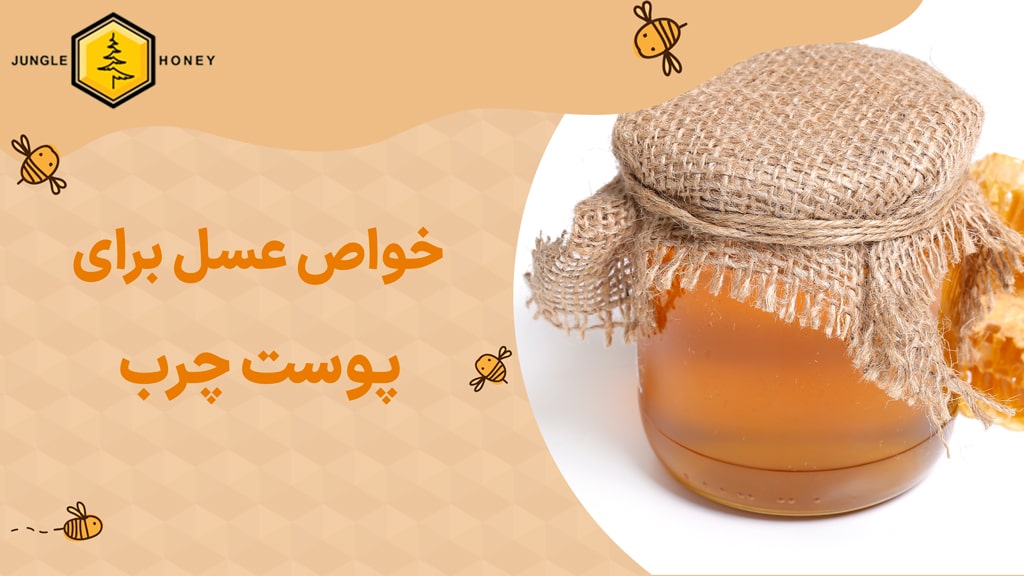 فواید عسل برای پوست های چرب + درست کردن ماسک
