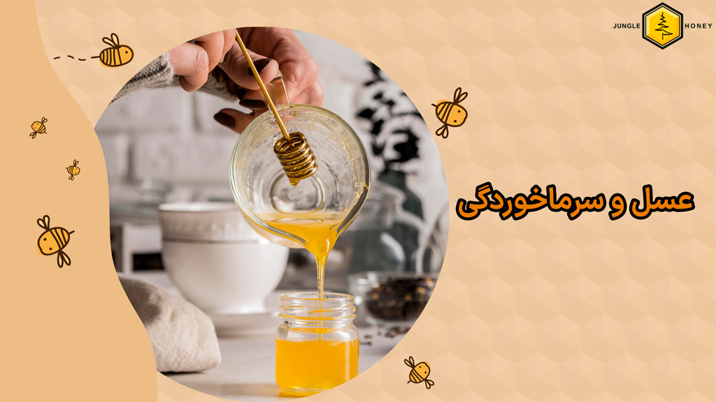 بهترین نوع عسل برای سرماخوردگی کدام عسل است؟