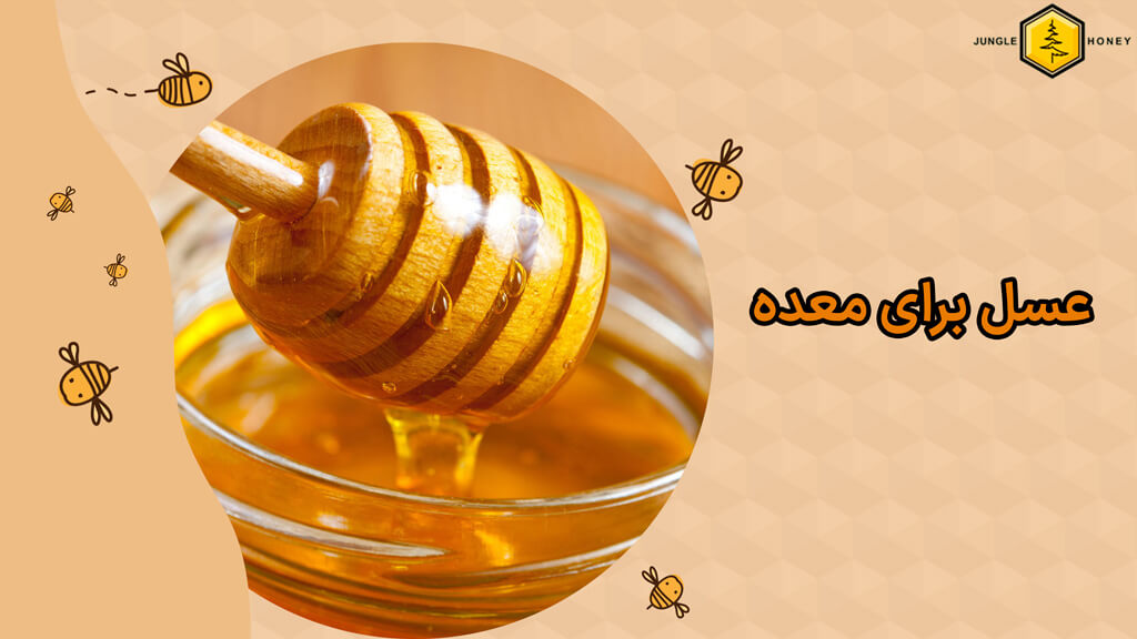 بهترین نوع عسل برای معده چه عسلی است؟
